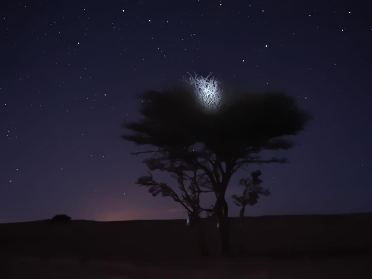 Tuareg Luxury Camp Hotel Merzouga Bagian luar foto